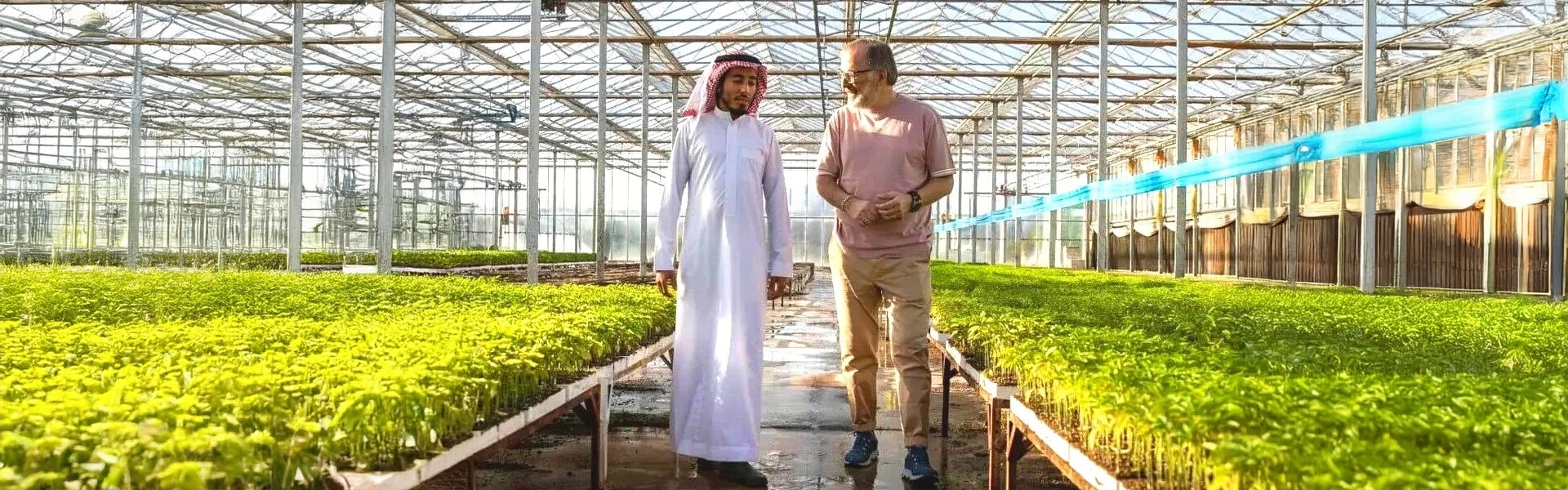 Farming Success stories