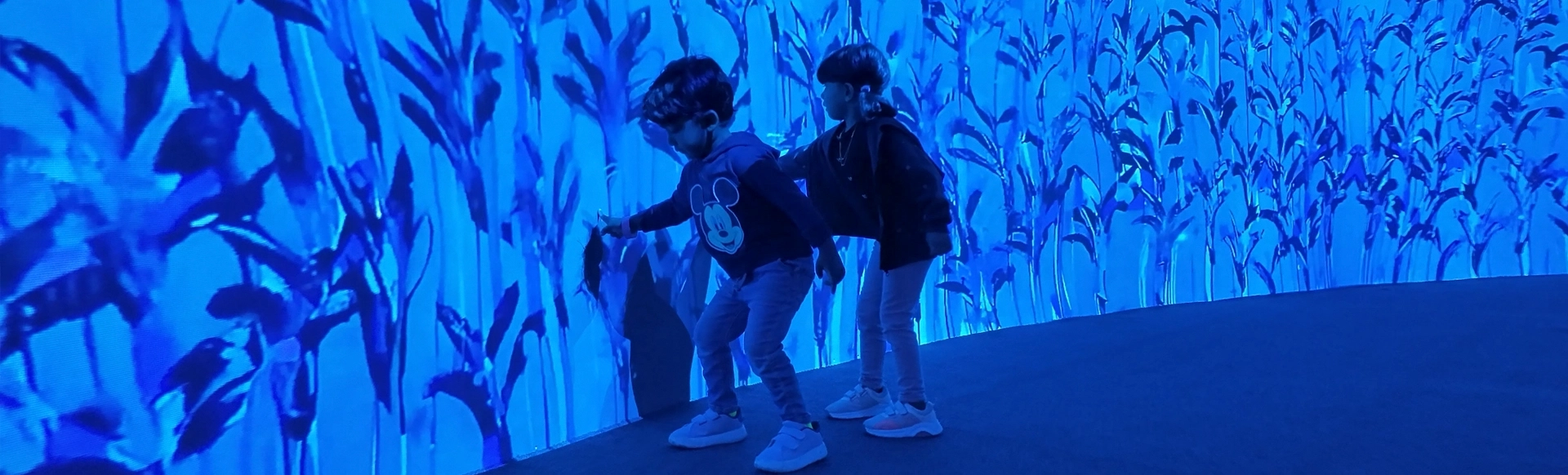 Projection Mapping installation