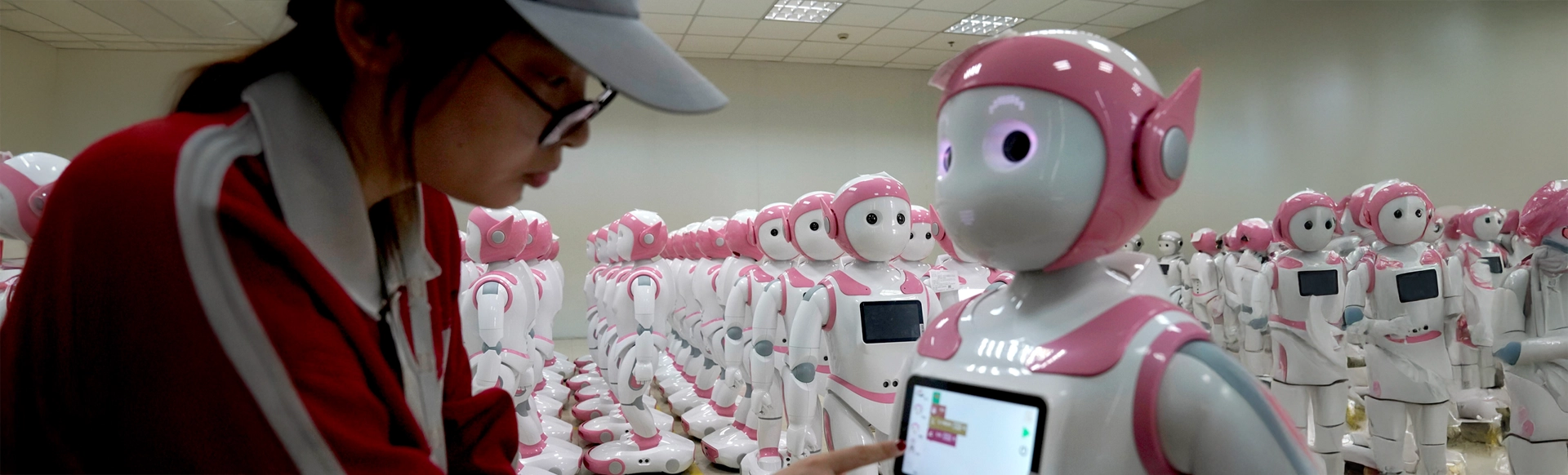 IPal Robots