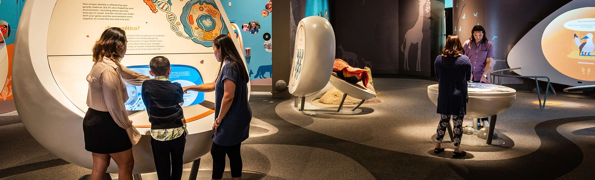 Immersive Experiences 