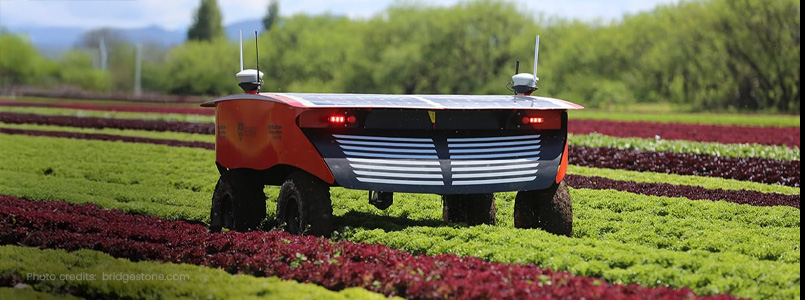 Robots in Farming