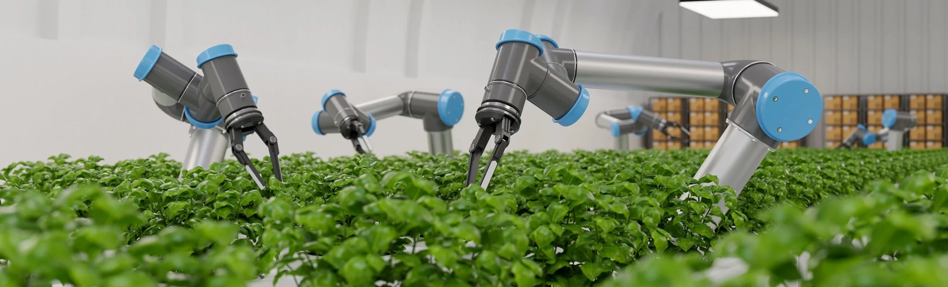 Future of Agriculture: IoT, Robotics, and Precision Farming Revolutionizing Food Production