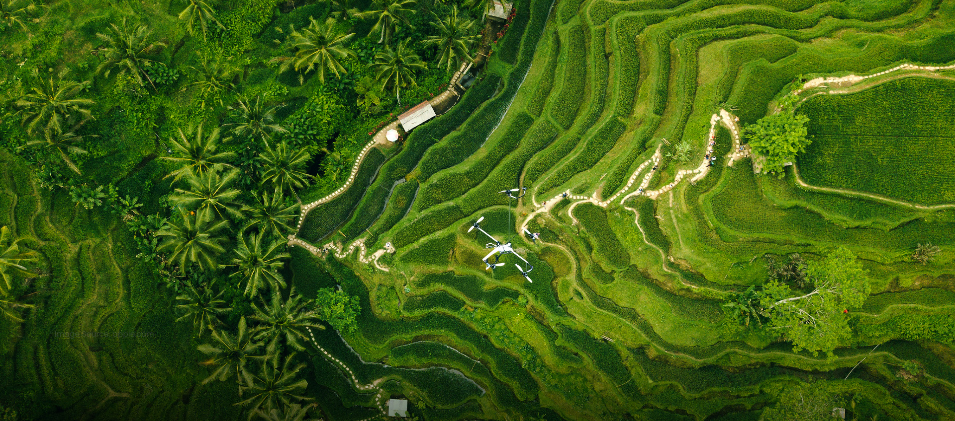 Farming with Drones and AI: The Future of Agriculture Is Here
