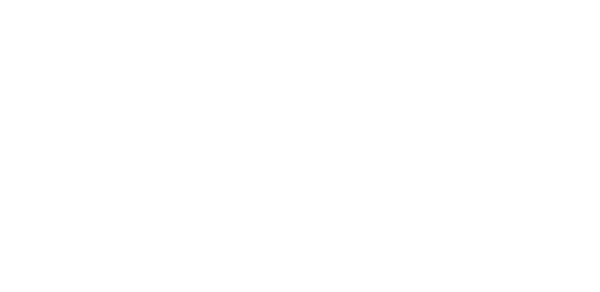 Saudi Vision 2030